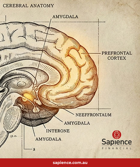 The human brains dual decision making process neuro metro line